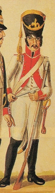 Voltigeur, 1807