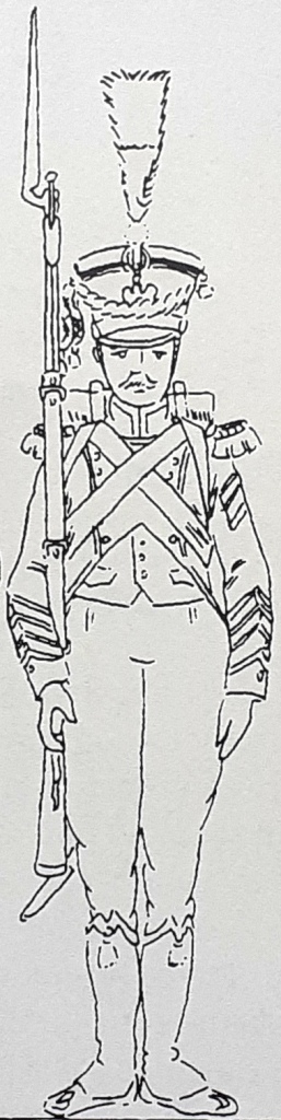 Sergent-major de Chasseurs, Régiment d'Isembourg, 1811-1812